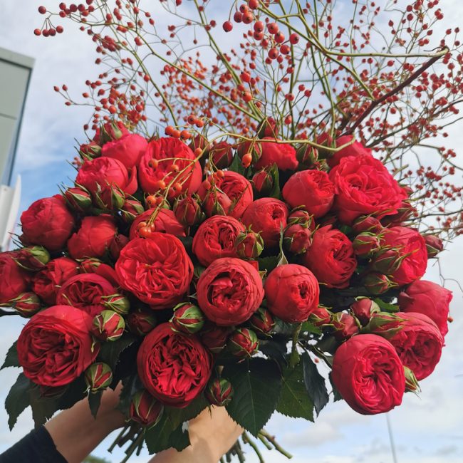 Birthday Me Not Flowers