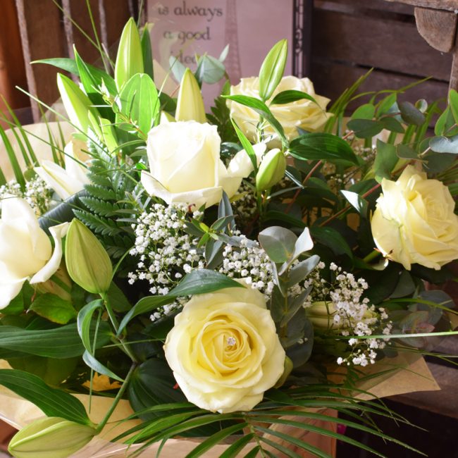 Kildare Meadow Me Not Flowers