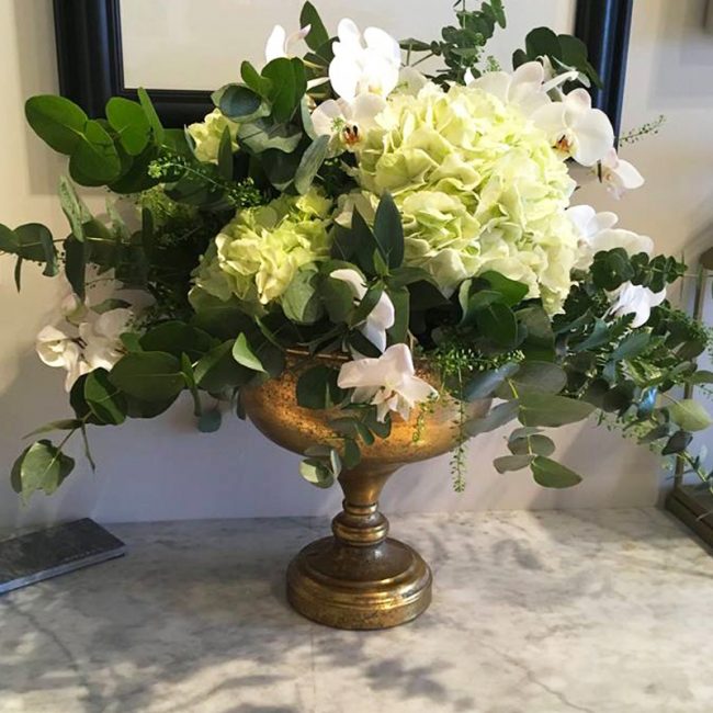 Congratulations Me Not Flowers